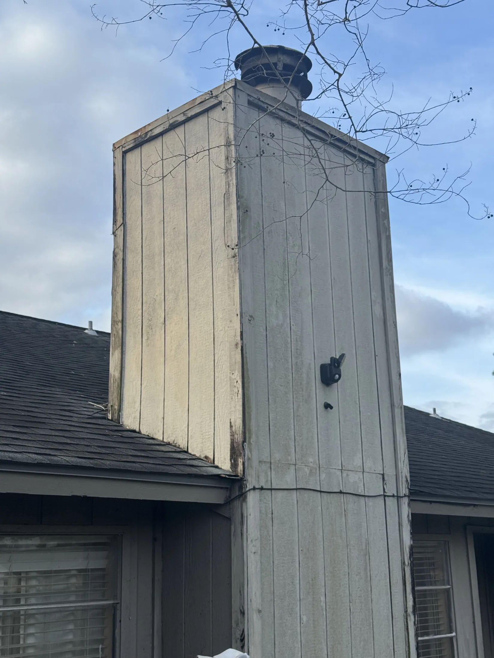 Exterior Siding Repair and Repaint additional project photo 1