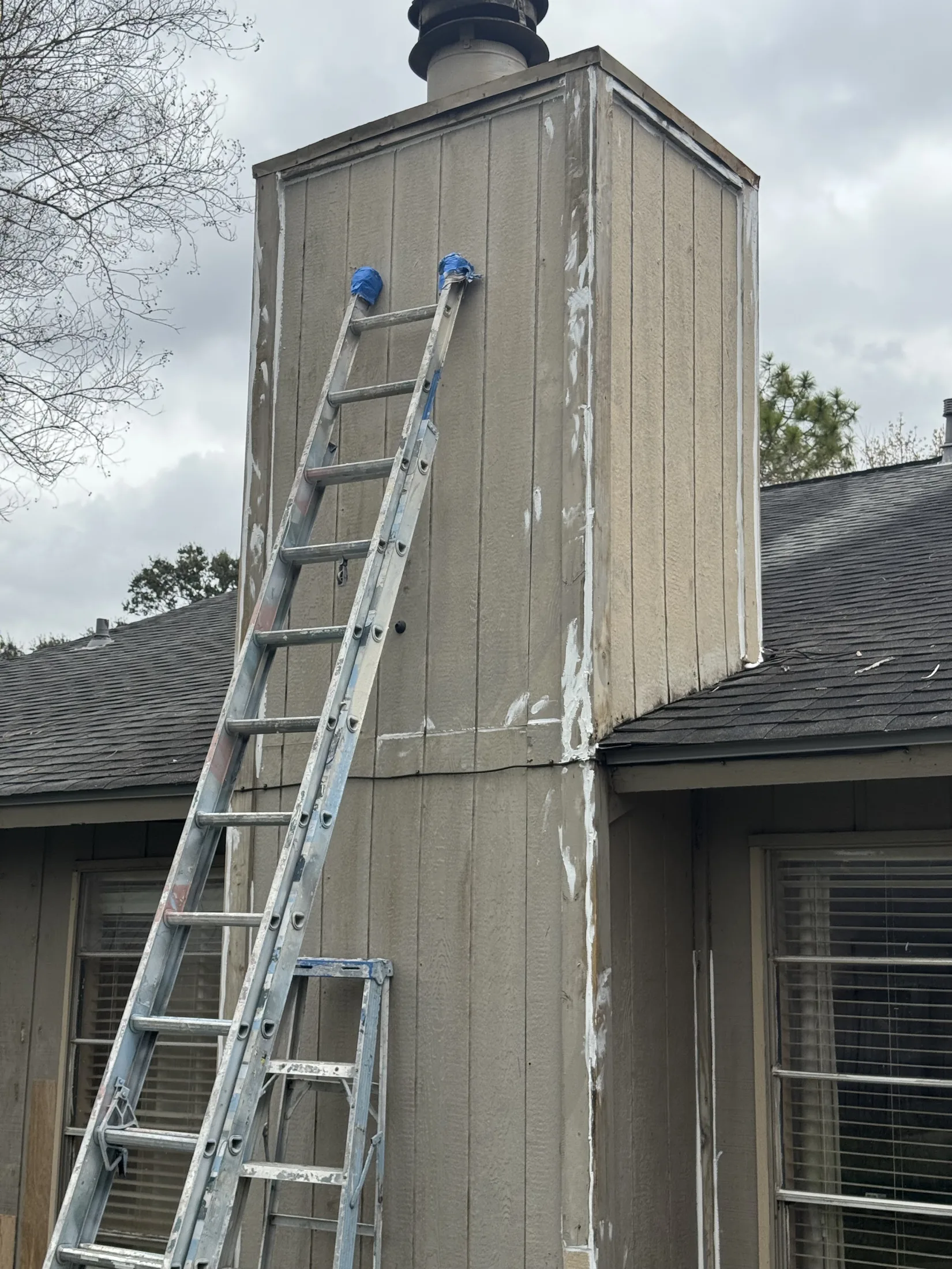 Exterior Siding Repair and Repaint additional project photo 2
